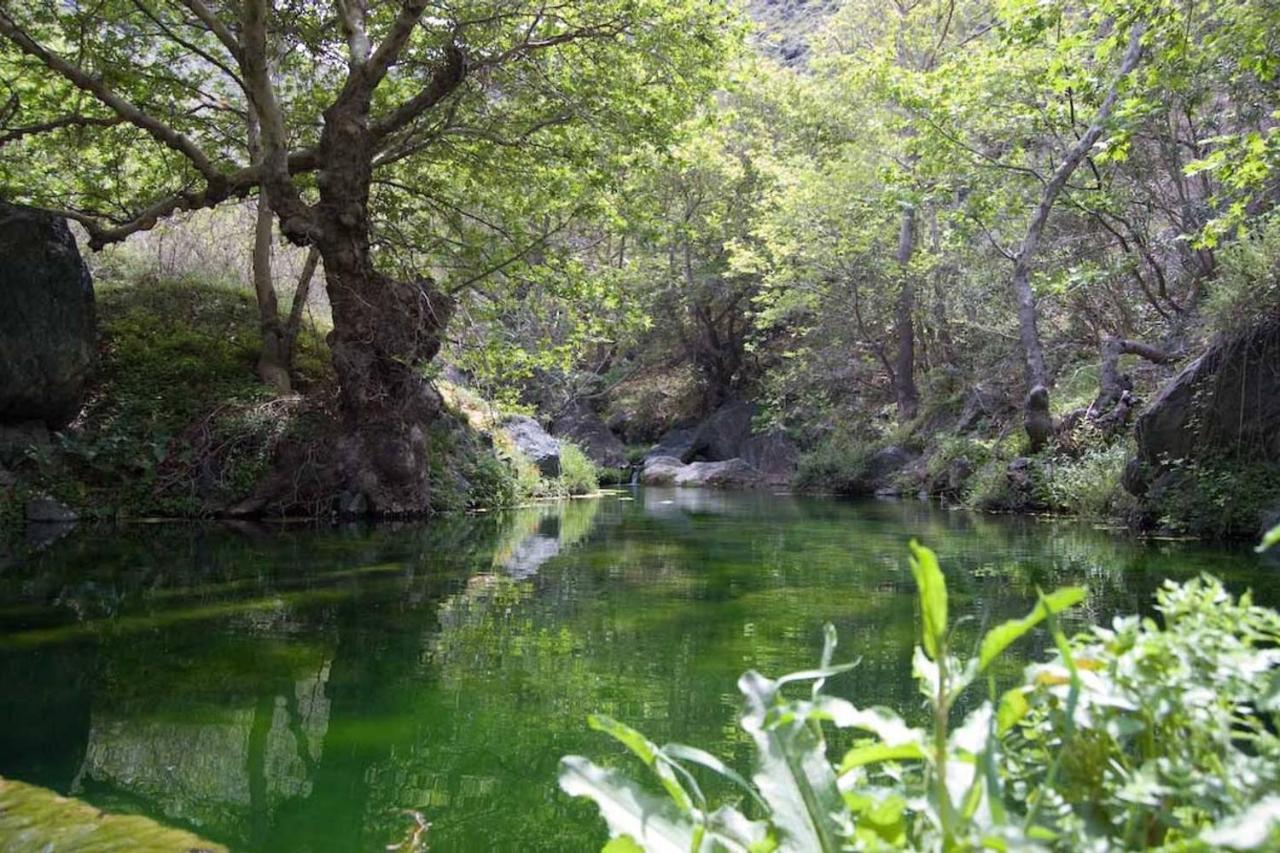 锡蒂亚Authentic Cretan Stone Windmill别墅 外观 照片